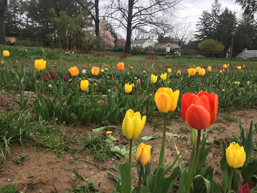 Produce Market «Highland Orchards Farm Market», reviews and photos, 1431 Foulk Rd, Wilmington, DE 19803, USA