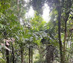 Hin Lat Waterfall photo