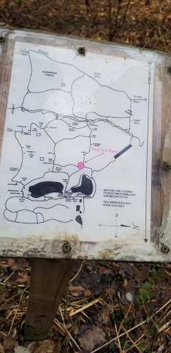 Nature Preserve «Sutherland Nature Sanctuary», reviews and photos, 3998 Diehl Rd, Metamora, MI 48455, USA