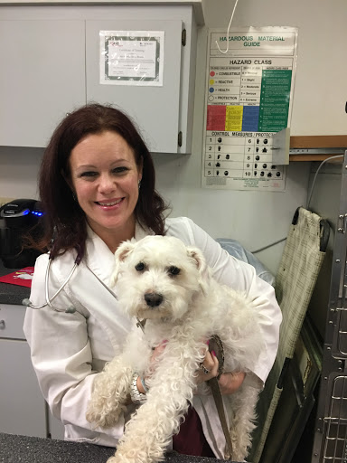 Bay Moorings Animal Hospital image