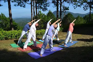 Sivananda Yoga Resort and Training center image