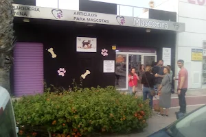 Peluquería canina y felina en Ribarroja del Turia Mascotita S.C. image