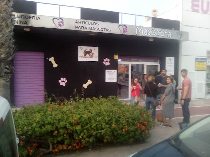 Peluquería canina y felina en Ribarroja del Turia Mascotita S.C.