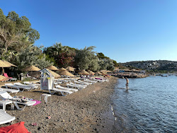 Pollen Tatil Köyü'in fotoğrafı birden fazla küçük koy ile birlikte