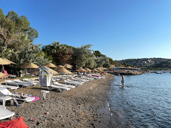 Pollen Tatil Koyu