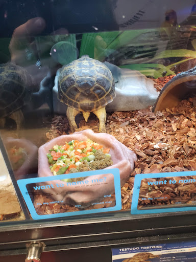 Pet Supply Store «PetSmart», reviews and photos, 160 Washington St #701, Rochester, NH 03839, USA