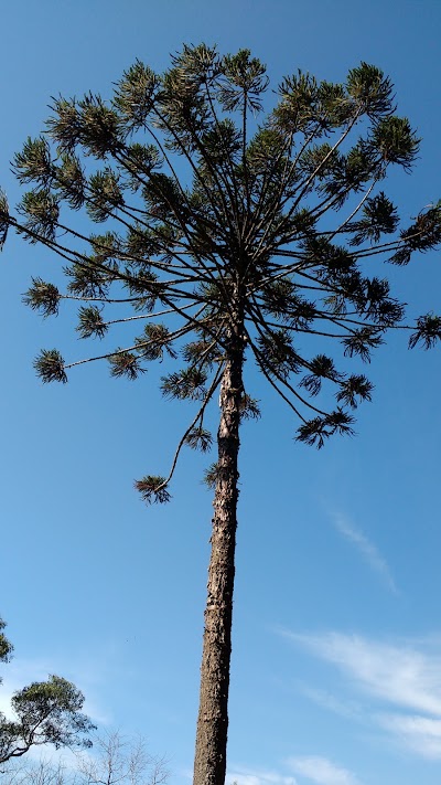 Photos of Recanto Vale Verde