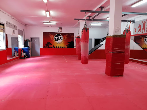 New Dojang en Santa Coloma de Gramenet, Barcelona
