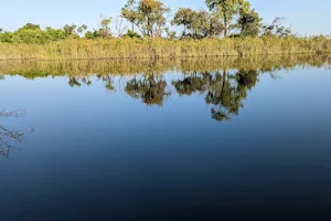 Okavango Wilderness Safaris image
