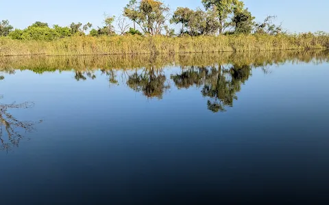 Okavango Wilderness Safaris image