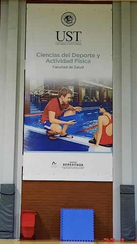 Opiniones de Gimnasio Santo Tomas en Temuco - Gimnasio