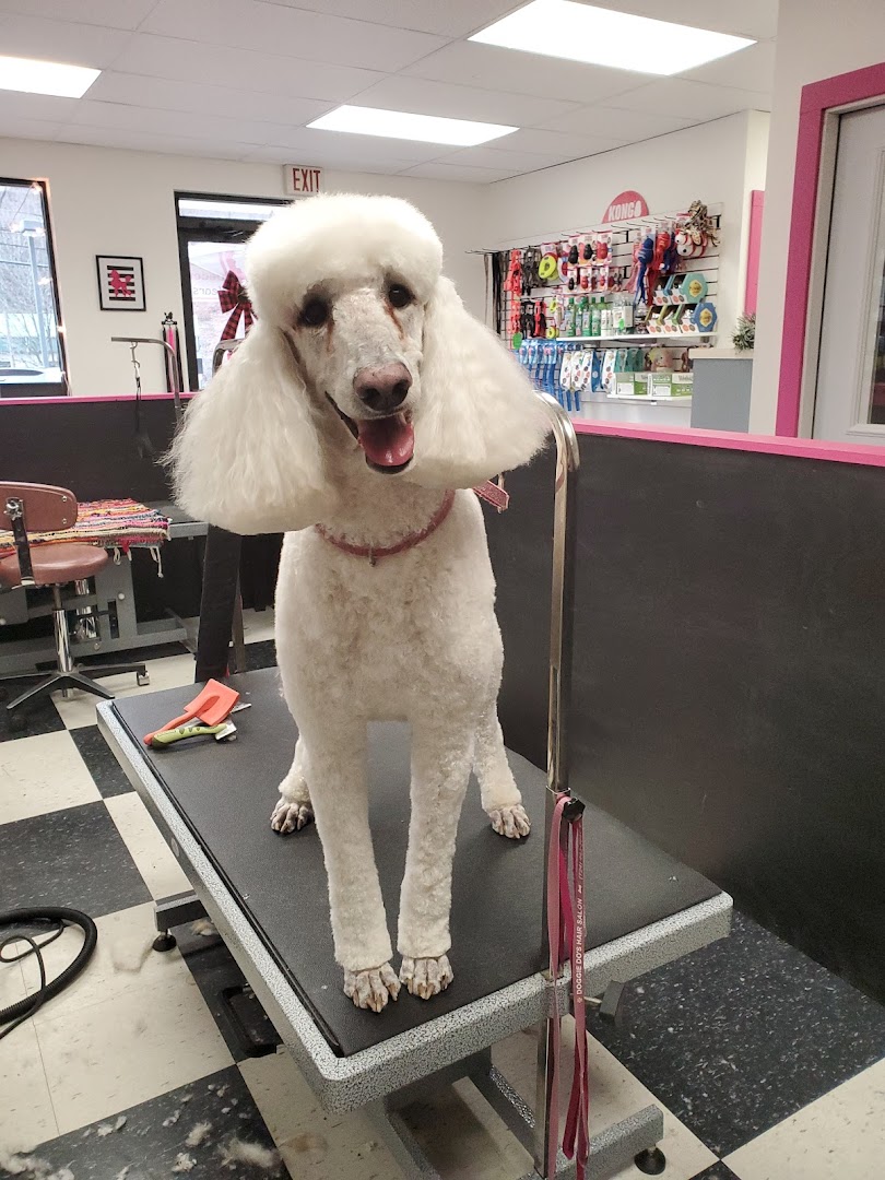 Doggie Do's Hair Salon