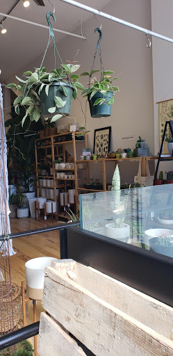 Gift Shop «Moss - Iowa City», reviews and photos, 112 E Washington St, Iowa City, IA 52240, USA