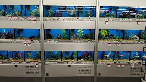 Pet Supply Store «Pet Supplies Plus», reviews and photos, 61 Irving Park Rd, Streamwood, IL 60107, USA