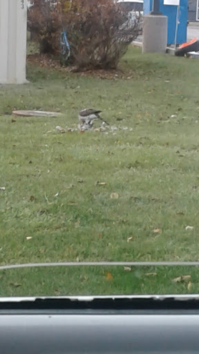 Supermarket «ALDI», reviews and photos, 7020 S Cicero Ave, Bedford Park, IL 60638, USA