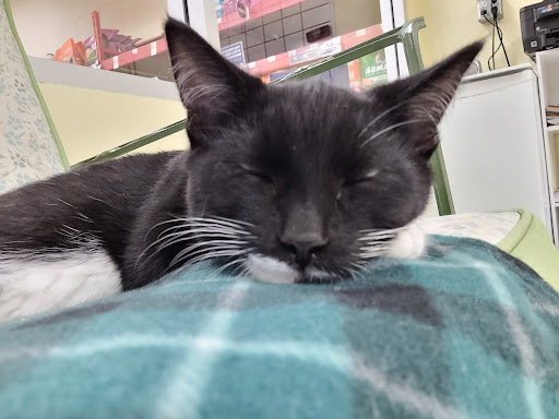 Pet Supply Store «Petco Animal Supplies», reviews and photos, 8775 SW Tualatin-Sherwood Rd, Tualatin, OR 97062, USA