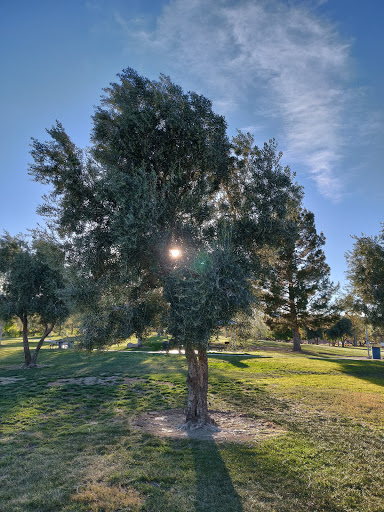 Park «Mountain Crest Park», reviews and photos, 4701 N Durango Dr, Las Vegas, NV 89129, USA