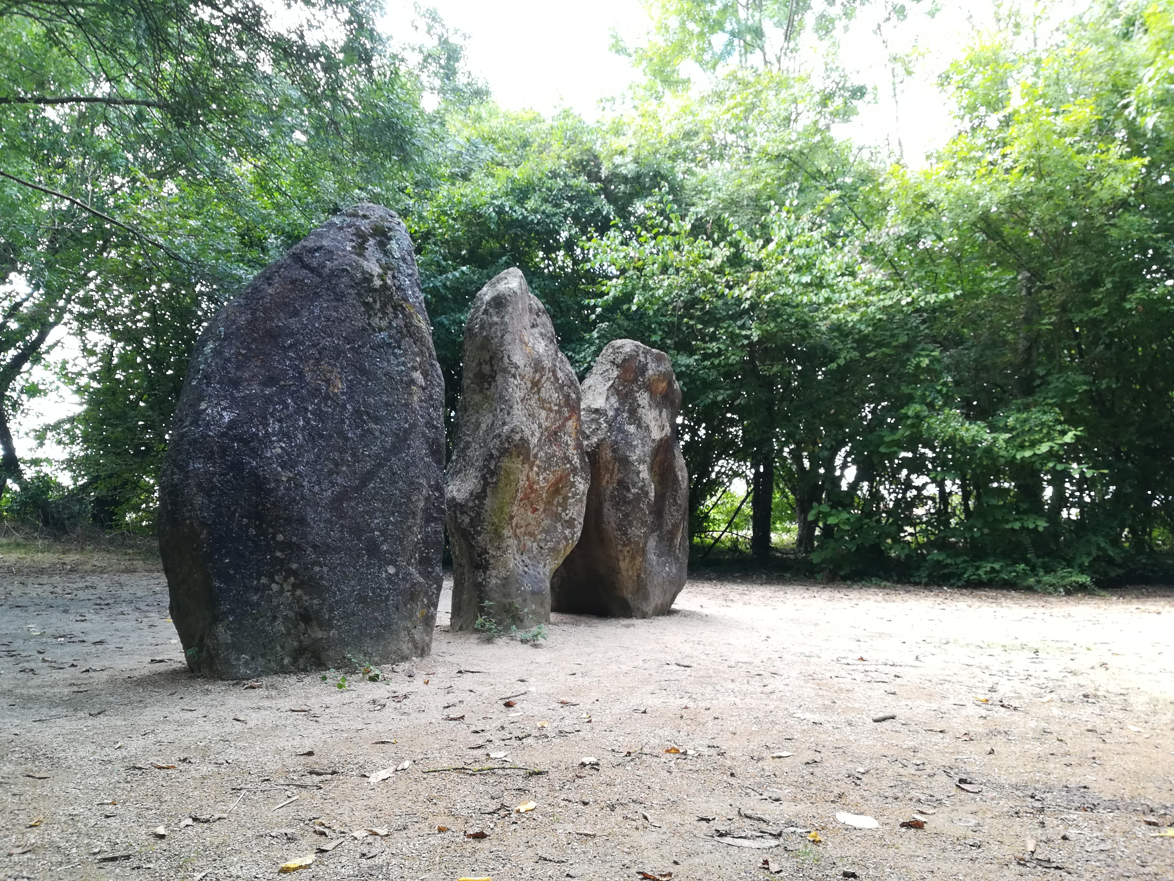 Photo n° 6 de l'avis de Loack.i fait le 19/08/2020 à 20:47