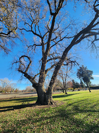 Park «Anderson River Park», reviews and photos