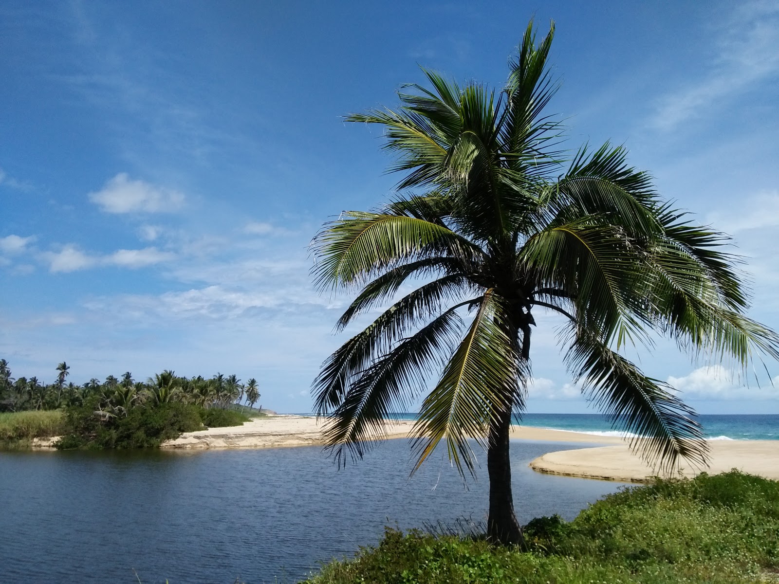 Foto de Zapotengo beach ubicado en área natural