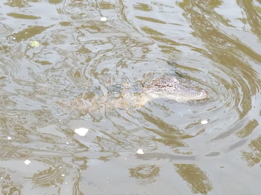 Karaoke Bar «Bayou Club», reviews and photos, 2210 Simmons Dr, Orange, TX 77630, USA