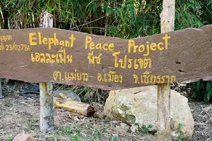 Elephant Peace Project image