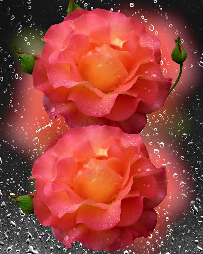 Department Store «Walmart Supercenter», reviews and photos, 2151 W Oaklawn Rd, Pleasanton, TX 78064, USA