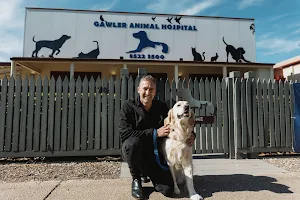 Gawler Animal Hospital image