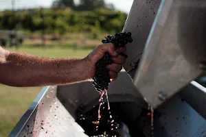 Bracco Bosca Winery image
