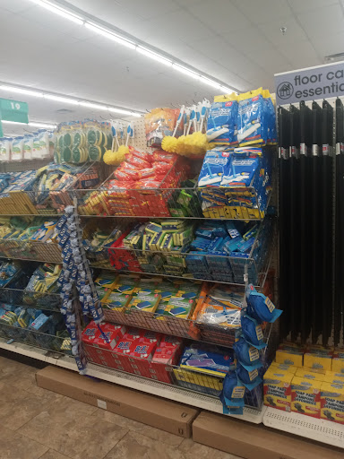 Dollar Store «Dollar Tree», reviews and photos, 9221 N 56th St, Temple Terrace, FL 33617, USA