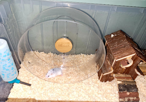 Pet Supply Store «Petco Animal Supplies», reviews and photos, 4915 E 41st St C, Tulsa, OK 74135, USA