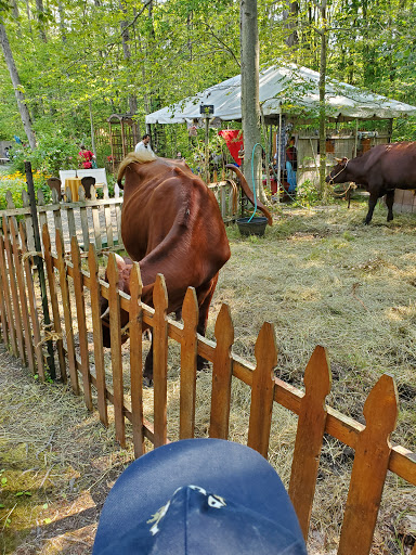 Tourist Attraction «The Great Lakes Medieval Faire», reviews and photos, 3033 OH-534, Rock Creek, OH 44084, USA