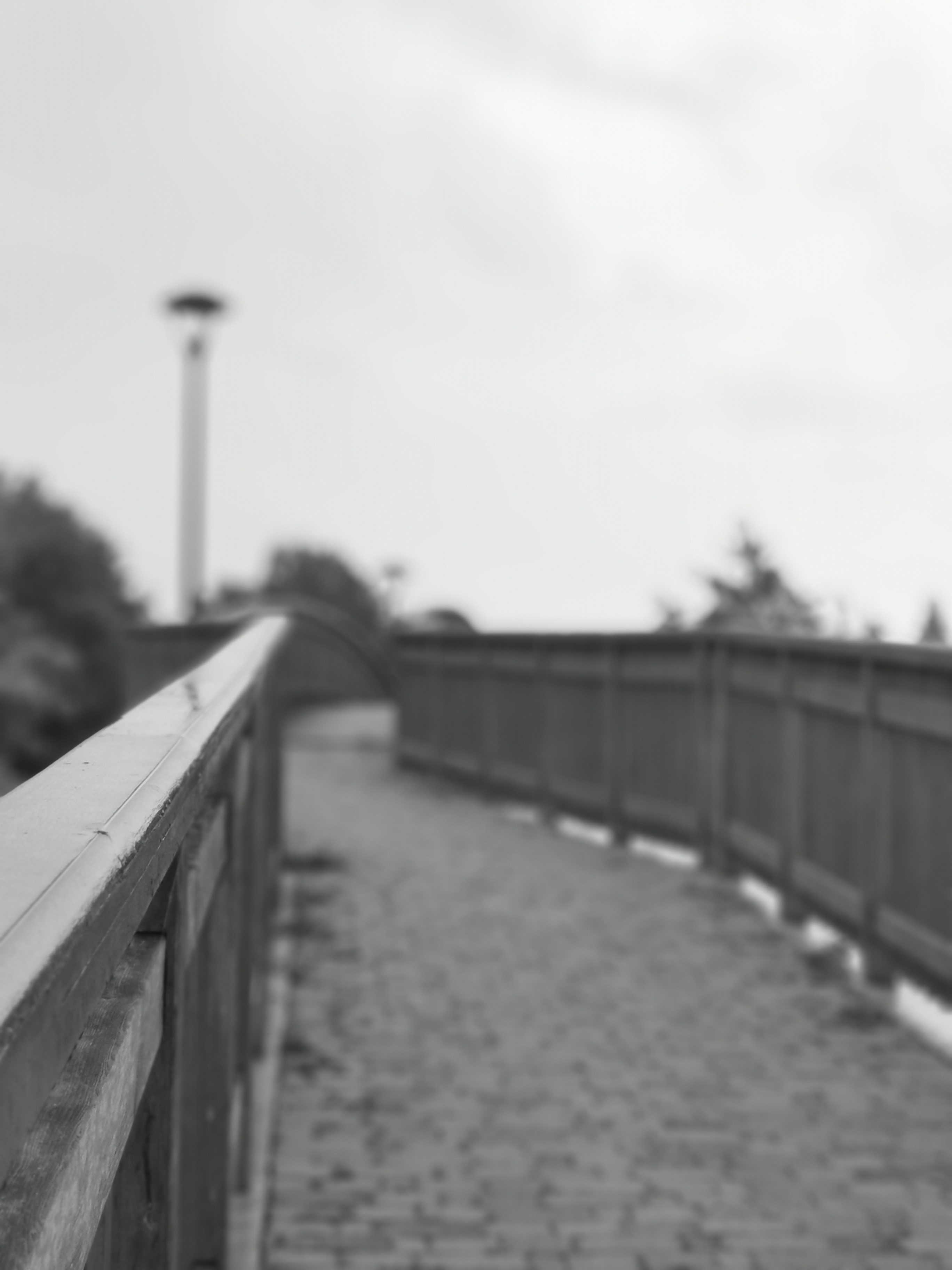 Photo n° 29 de l'avis de Phidis.a fait le 10/07/2019 à 10:30
