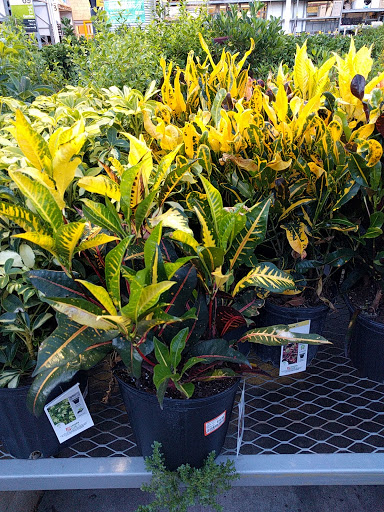 Garden Center at The Home Depot