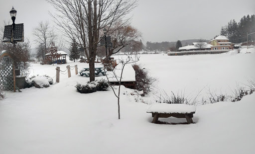 Grocery Store «Swan Lake Country Store», reviews and photos, 1658 Briscoe Rd, Swan Lake, NY 12783, USA