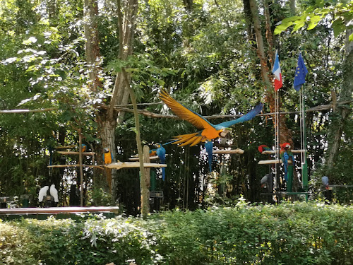 attractions Le parc des Perroquets Bren
