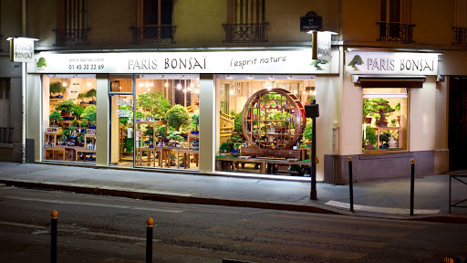 Bonsai classes Paris