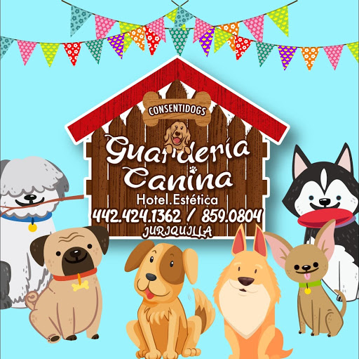 Guardería Canina Consentidogs Juriquilla