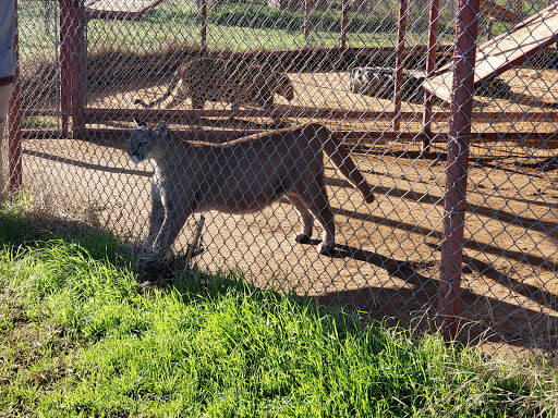 Research Institute «Center For Animal Research and Education (CARE)», reviews and photos, 245 Co Rd 3422, Bridgeport, TX 76426, USA