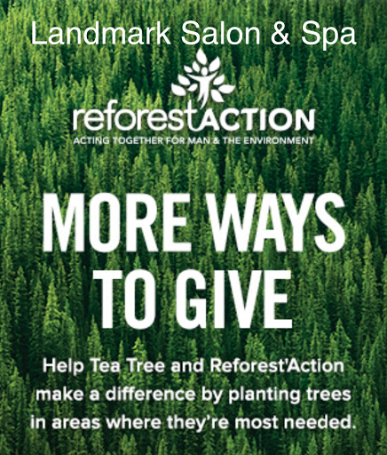 Beauty Salon «Landmark Salon & Spa», reviews and photos, 255 I-35BL, New Braunfels, TX 78130, USA