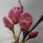 Photo n°1 de l'avis de Horst.c fait le 19/05/2022 à 15:30 sur le  Hotel-Restaurant Rödiger GmbH à Bad Staffelstein