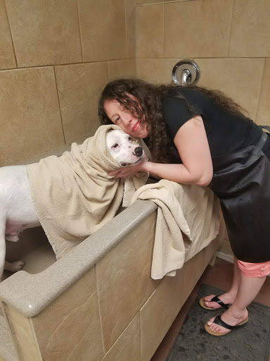 Pet Supply Store «HOWLISTIC», reviews and photos, 930 W Washington St #7, San Diego, CA 92103, USA