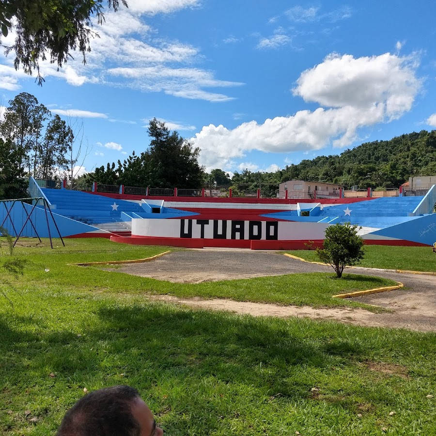 Bandera Hector de Utuado