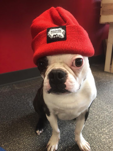 Screen Printer «Asheville Screen Printing», reviews and photos, 1328 Patton Ave b, Asheville, NC 28806, USA