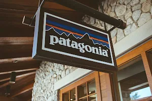 Patagonia image