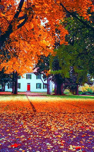 Local History Museum «Historic Travellers Rest Plantation & Museum», reviews and photos, 636 Farrell Pkwy, Nashville, TN 37220, USA