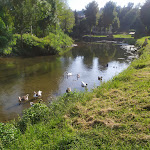 Photo n°1 de l'avis de Michela.a fait le 23/08/2020 à 08:39 sur le  The Corazziere - Hotel & Restaurant à Merone