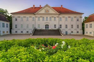 Schloss Hohenzieritz image