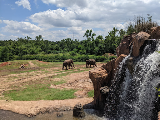 Zoo «Oklahoma City Zoo», reviews and photos, 2000 Remington Pl, Oklahoma City, OK 73111, USA
