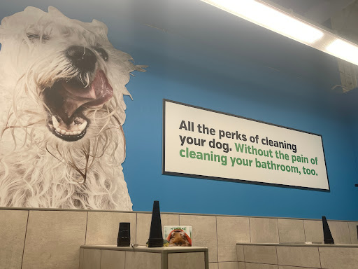 Pet Supply Store «Pet Supplies Plus», reviews and photos, 7954 Brewerton Rd #400, Cicero, NY 13039, USA